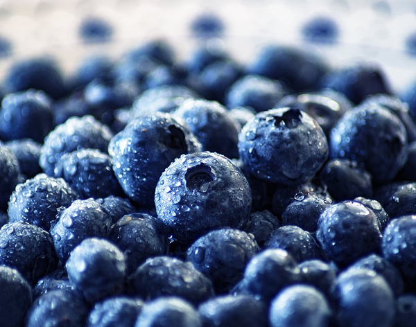 冷凍藍莓，一個被嚴重低估的產品